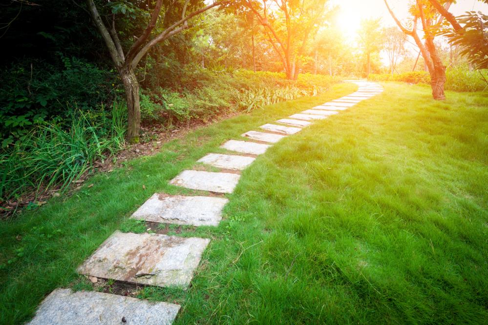 Ward Landscapes & Hardscapes Inc.: Service Image-3 Ward Landscapes & Hardscapes Inc.: Service Image-3