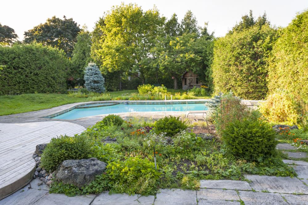 Ward Landscapes & Hardscapes Inc.: Service Image-0 Ward Landscapes & Hardscapes Inc.: Service Image-0